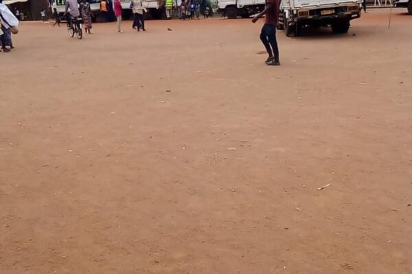 Mahama (Rwanda) : une lutte contre les insectes nuisibles qui sauve et qui frustre à la fois