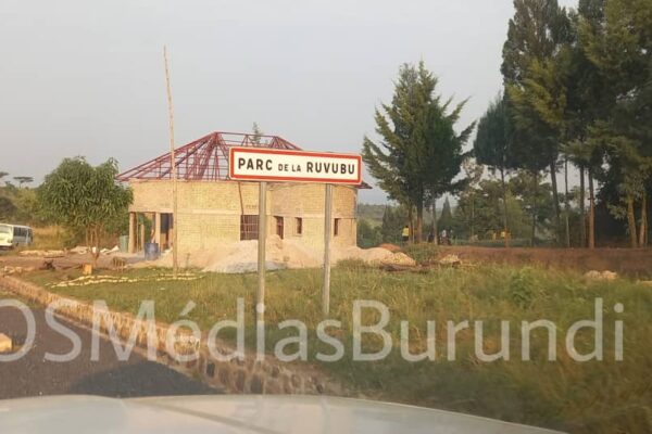 Part of the Ruvubu natural reserve, Muyinga side where intelligence is suspected of burying bodies of victims from the region (SOS Médias Burundi)