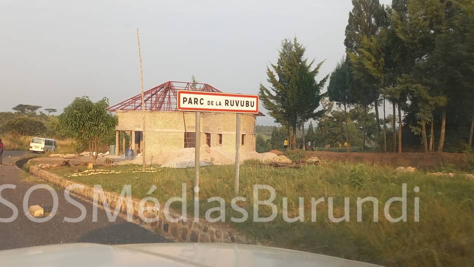 Part of the Ruvubu natural reserve, Muyinga side where intelligence is suspected of burying bodies of victims from the region (SOS Médias Burundi)