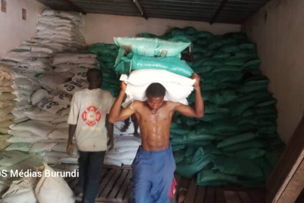 Makamba-Rutana: les agriculteurs se plaignent du manque d’intrants agricoles