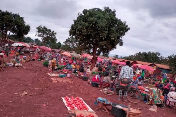 Nyarugusu (Tanzania): Tanzanians opposed the kidnapping of Burundian refugees