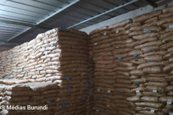 Bubanza: Wakulima walalamikia ukosefu wa mbegu za mahindi