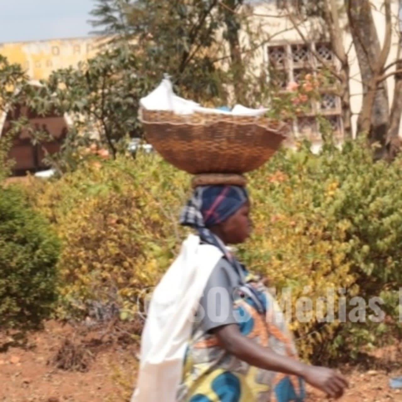 Photo : a rural woman coming from her crop field in the political capital Gitega © SOS Médias Burundi
