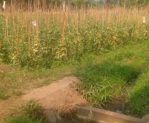 Nyanza-Lac: mwakilishi wa wakulima aliyekamatwa