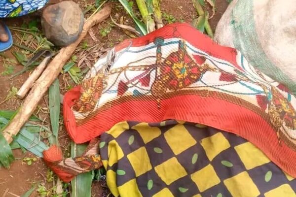 The scene of the macabre discovery of Béatrice Nibogora, DR