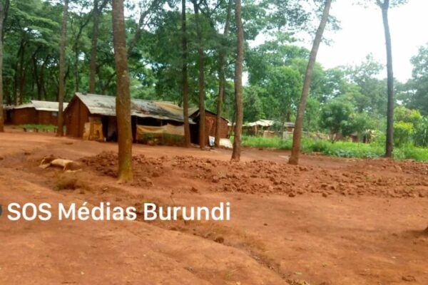 Nduta (Tanzanie) : démolition des maisons pour la moindre faute des réfugiés