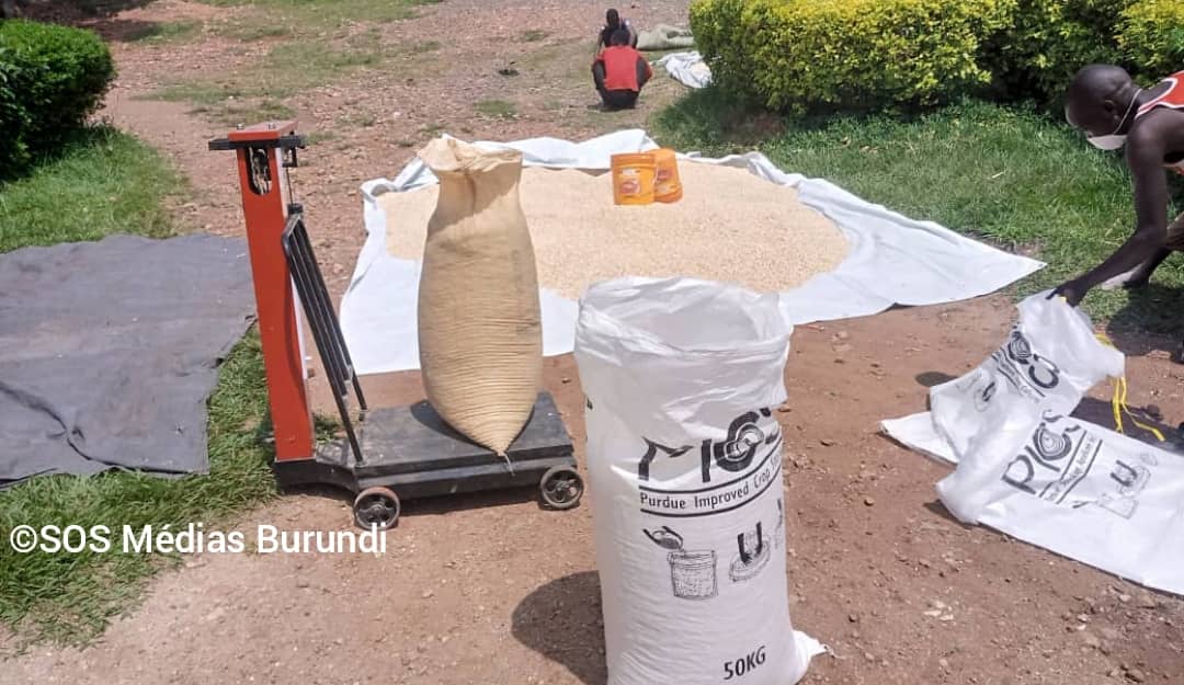 Un point de vente du maïs réservé à l'ANAGESSA dans l'ouest du Burundi © SOS Médias Burundi