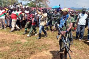 Des anciens combattants du CNDD-FDD et des Imbonerakure dans une parade militaire à Cibitoke © SOS Médias Burundi