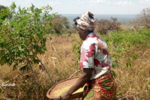 Une réfugiée burundaise dans un champ en dehors du camp de Nduta, dans le nord-ouest de la Tanzanie. © SOS Médias Burundi