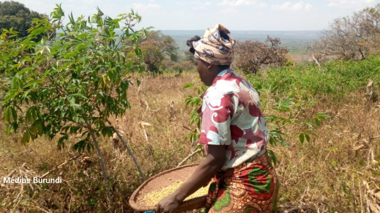 Une réfugiée burundaise dans un champ en dehors du camp de Nduta, dans le nord-ouest de la Tanzanie. © SOS Médias Burundi
